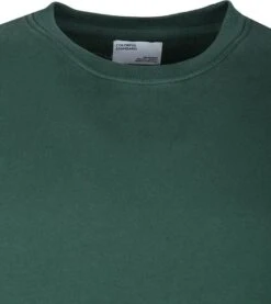 Colorful Standard Sweater Organic Groen 13 Colorful Standard Sweater Organic Groen -Kleding Kortingswinkel 64218 2 1