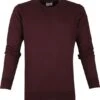 Colorful Standard Sweater Organic Bordeaux -Kleding Kortingswinkel 64219 1