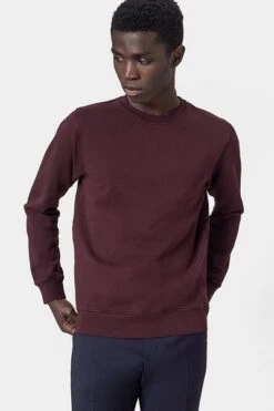 Colorful Standard Sweater Organic Bordeaux 12 Colorful Standard Sweater Organic Bordeaux -Kleding Kortingswinkel 64219 5