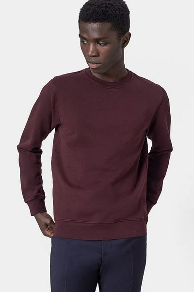 Colorful Standard Sweater Organic Bordeaux 7 Colorful Standard Sweater Organic Bordeaux - Afbeelding 5