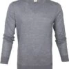 Olymp Trui Lvl 5 Grijs 1 Olymp Trui Lvl 5 Grijs -Kleding Kortingswinkel 67042 1