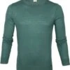 Olymp Trui Lvl 5 Groen 1 Olymp Trui Lvl 5 Groen -Kleding Kortingswinkel 67045 1