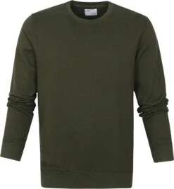 Colorful Standard Sweater Zeewier Groen