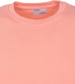 Colorful Standard Sweater Roze -Kleding Kortingswinkel 69496 2