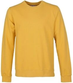 Colorful Standard Sweater Geel 11 Colorful Standard Sweater Geel -Kleding Kortingswinkel 70884 1 1