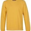 Colorful Standard Sweater Geel 1 Colorful Standard Sweater Geel -Kleding Kortingswinkel 70884 1