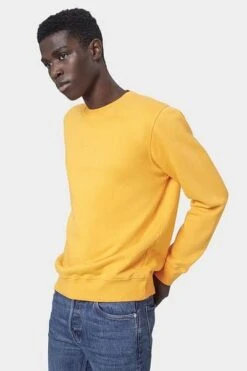Colorful Standard Sweater Geel 13 Colorful Standard Sweater Geel -Kleding Kortingswinkel 70884 3 1