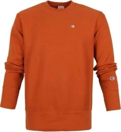 Champion Sweater Reverse Weave Bruin 12 Champion Sweater Reverse Weave Bruin -Kleding Kortingswinkel 71310 1 1
