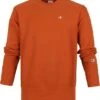 Champion Sweater Reverse Weave Bruin -Kleding Kortingswinkel 71310 1