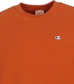 Champion Sweater Reverse Weave Bruin 13 Champion Sweater Reverse Weave Bruin -Kleding Kortingswinkel 71310 2 1