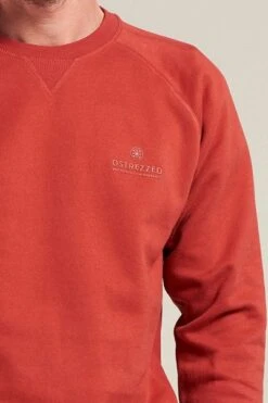 Dstrezzed Sweater Rood -Kleding Kortingswinkel 71452 4