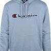 Champion Hoodie Logo Blauw