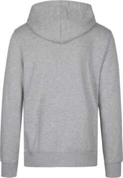 Bjorn Borg Hoodie Grijs Logo 13 Bjorn Borg Hoodie Grijs Logo -Kleding Kortingswinkel 72840 4