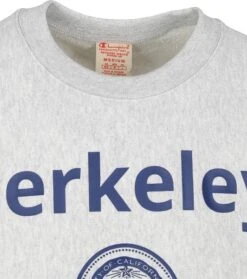 Champion Sweater Logo Berkely Grijs -Kleding Kortingswinkel 73108 2