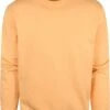 Colorful Standard Sweater Organic Licht Oranje 2 Colorful Standard Sweater Organic Licht Oranje -Kleding Kortingswinkel 73150 1