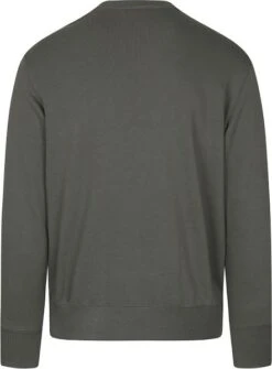 Champion Sweater Script Logo Donkergroen -Kleding Kortingswinkel 73226 4