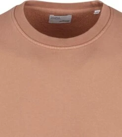 Colorful Standard Sweater Organic Bruin 13 Colorful Standard Sweater Organic Bruin -Kleding Kortingswinkel 73271 2 1