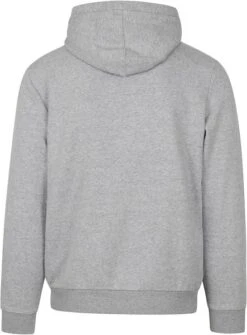 Napapijri Burgee Sweater Grijs -Kleding Kortingswinkel 74477 4