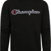 Champion Sweater Script Logo Zwart 2 Champion Sweater Script Logo Zwart -Kleding Kortingswinkel 74873 1