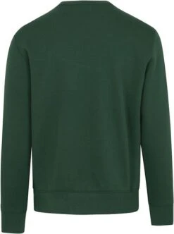 Champion Sweater Script Logo Groen 12 Champion Sweater Script Logo Groen -Kleding Kortingswinkel 74874 3
