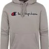 Champion Hoodie Logo Grijs 1 Champion Hoodie Logo Grijs -Kleding Kortingswinkel 74880 1