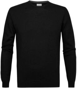 Profuomo Pullover Merinowol Zwart 8 Profuomo Pullover Merinowol Zwart -Kleding Kortingswinkel 76149 1 1