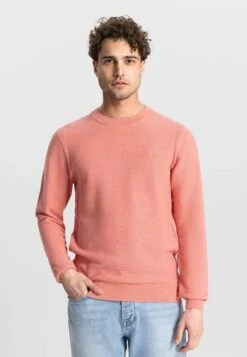 Dstrezzed Pullover Roze Melange -Kleding Kortingswinkel 77131 2 1